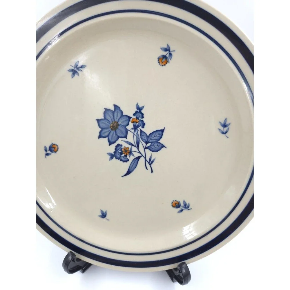 2 Newcor Stoneware Dinner Plates 10.5 